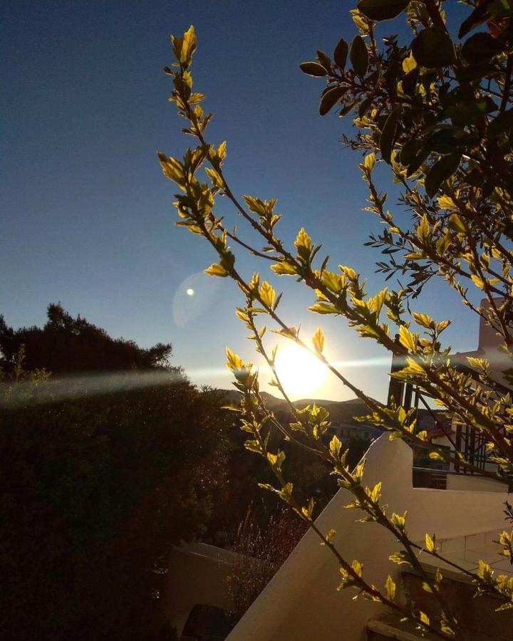 Sounio Golden View Villas Соунио Екстериор снимка